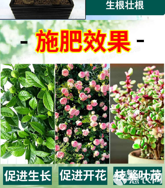 磷酸二氢钾花肥叶面肥农用肥料花卉植物壮根保果促花水溶肥家用