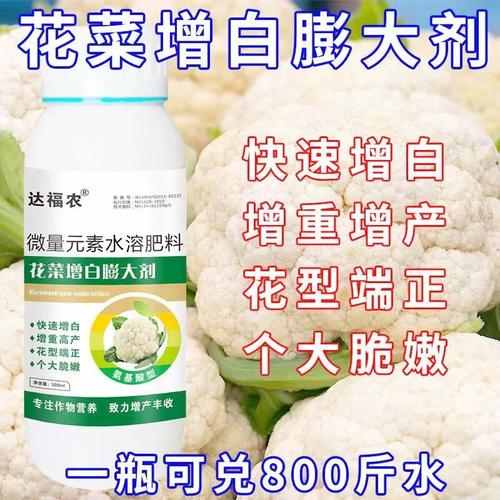 花菜增白膨大剂菜花花椰菜亮白素鲜亮增产高产增重膨大素叶面肥料